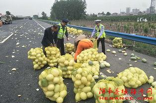 51朝阳吃瓜群众 临朐网红大玲子事件,揭秘网络红人的争议与真相